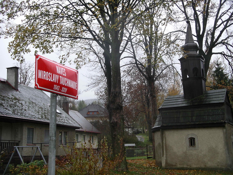 Naves_Miroslavy_Tauchmanove.jpg